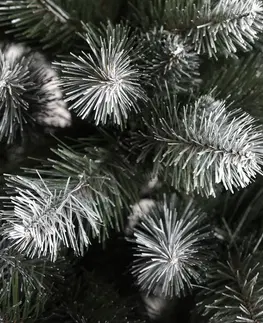 Vánoční stromky Vánoční borovice 220 cm