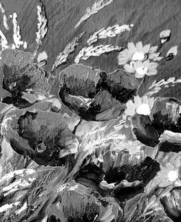 Černobílé obrazy Obraz malované polní máky v černobílém provedení