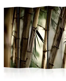 Paravány Paraván Fog and bamboo forest Dekorhome 225x172 cm (5-dílný)