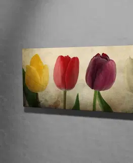 Obrazy Hanah Home Obraz Tulipány 80x30 cm