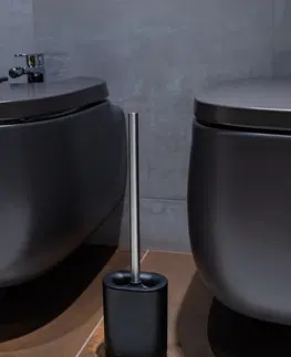 WC štětky HOPA WC štětka (na wc rimless), kov, plast KD02021769