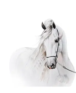Zvířátka Krásná nálepka na stenus motivem bílého koně