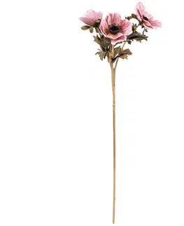 Květiny Umělá květina Anemónka starorůžová, 3 květy, 56 x 17 cm