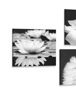 Sestavy obrazů Set obrazů květiny s motýlem v černobílém