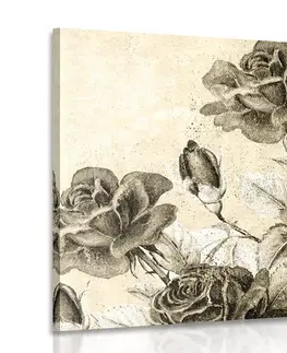 Černobílé obrazy Obraz vintage kytice růží v sépiovém provedení