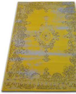 Koberce a koberečky Dywany Lusczow Kusový koberec VINTAGE 22206/025, velikost 120x170