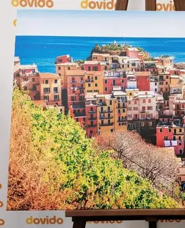 Obrazy města Obraz italská Manarola