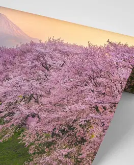 Tapety příroda Fototapeta nádherné Japonsko