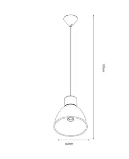 Moderní závěsná svítidla ZUMALINE Závěsné svítidlo ELSTRA P16151-WH