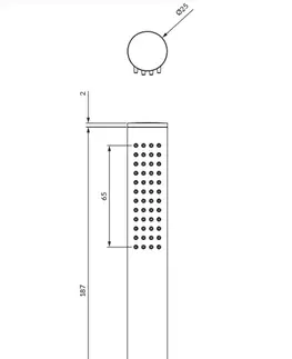 Koupelnové baterie OMNIRES CONTOUR sprchová růžice zlatá kartáčovaná /GLB/ CONTOUR-RGLB