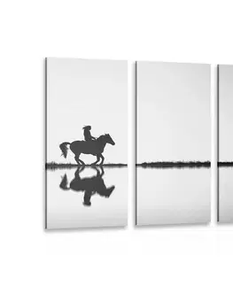 Černobílé obrazy 5-dílný obraz jezdec na koni v černobílém provedení