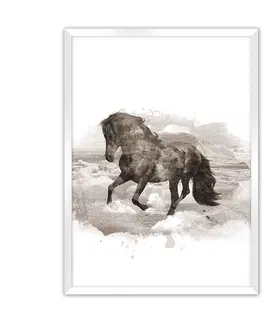 Obrazy a plakáty Plakát Horse