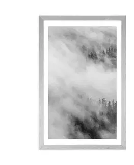 Černobílé Plakát s paspartou černobílý mlhavý les