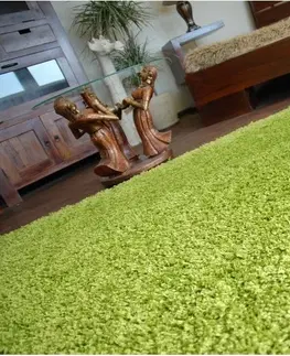 Koberce a koberečky Dywany Lusczow Kusový koberec SHAGGY Izebelie 5cm zelený, velikost 100x150