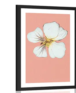 Motivy z naší dílny Plakát s paspartou něžnost květu kapucínky