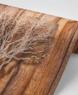 Tapety příroda Tapeta strom na dřevěném podkladu