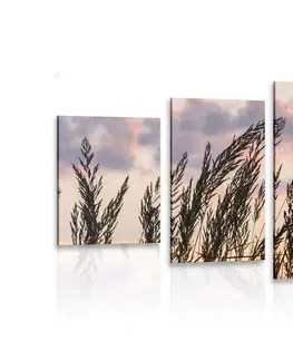 Obrazy přírody a krajiny 5-dílný obraz tráva při zapadajícím slunci