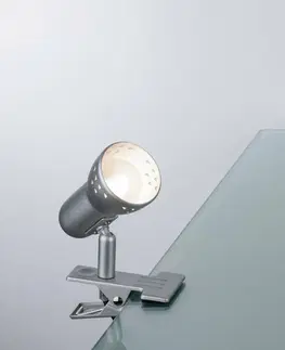 Stolní lampy s klipem Paulmann Svítidlo na skřipec 1x40W,E14, 230V 998.25 P 99825