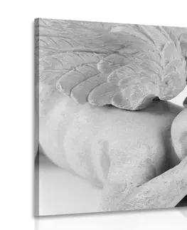 Černobílé obrazy Obraz černobílý spící andílek