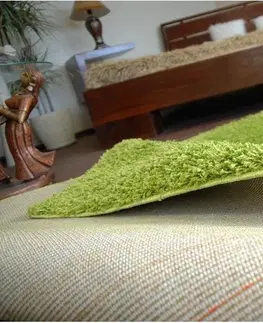 Koberce a koberečky Dywany Lusczow Kusový koberec SHAGGY Izebelie 5cm zelený, velikost 200x300