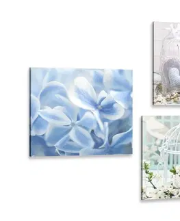 Sestavy obrazů Set obrazů vojtěšky s modrou květinou