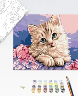 Zvířata Malování podle čísel kočka s modrými očima