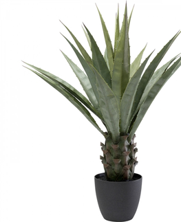 Umělé rostliny KARE Design Dekorativní rostlina Agave 85cm