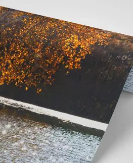 Samolepící tapety Samolepící fototapeta odraz listí v jezeře