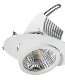 Podhledová svítidla EGG Otočné LED podhledové svítidlo 20 cm, 44 W