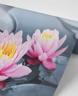 Samolepící tapety Samolepící fototapeta lotosový květ v jezeře