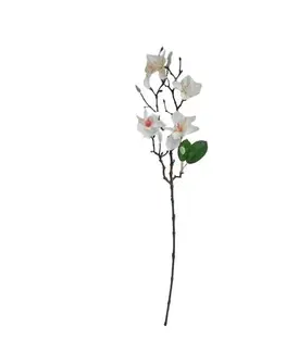 Květiny Umělá větvička Magnolie bílá, 64 cm