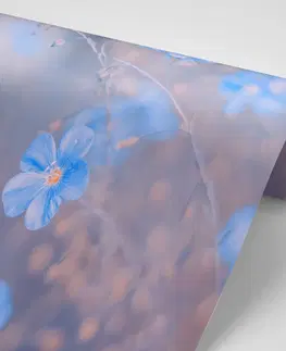 Samolepící tapety Samolepící fototapeta modré květiny na vintage pozadí