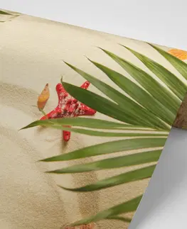 Tapety příroda Fototapeta mušle pod palmovými listy