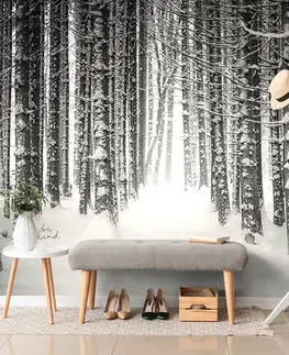 Černobílé tapety Fototapeta černobílý les zahalený sněhem