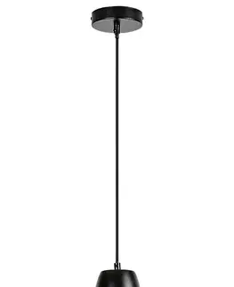 Klasická závěsná svítidla Rabalux závěsné svítidlo Wilbour E27 1x MAX 60W černá 72013
