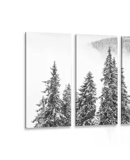 Černobílé obrazy 5-dílný obraz zasněžené borové stromy v černobílém provedení