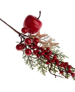 Vánoční dekorace Dekorační větvička Apple and Stars, 34 cm