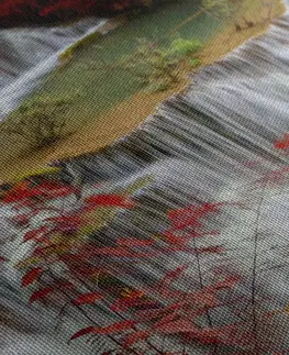 Obrazy vodopád Obraz lesní vodopád