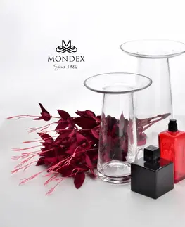 Dekorativní vázy Mondex Váza Serenite 25 cm čirá