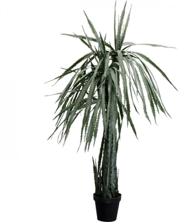 Umělé rostliny KARE Design Dekorativní rostlina Dragon Tree 155cm
