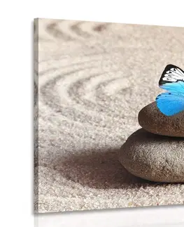Obrazy Feng Shui Obraz modrý motýl v Zen zahradě