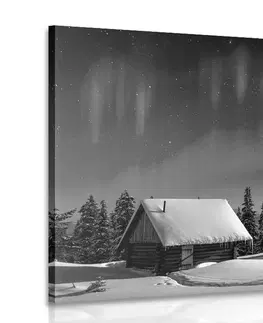Černobílé obrazy Obraz pohádková zimní krajina v černobílém provedení