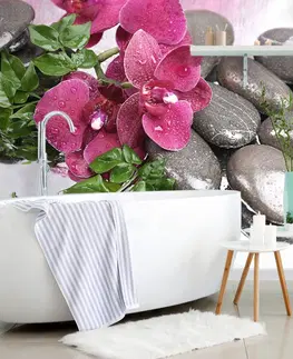Samolepící tapety Samolepící fototapeta kvetoucí orchidej a wellness kameny