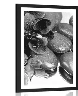Černobílé Plakát s paspartou kvetoucí orchidej a wellness kameny v černobílém provedení