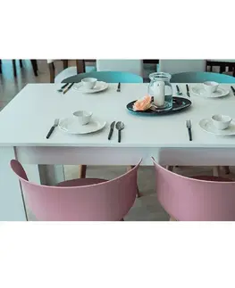 Jídelní stoly Jídelní stůl TOMY NEW Tempo Kondela 160x90x75 cm