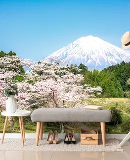 Samolepící tapety Samolepící fototapeta sopka Fuji