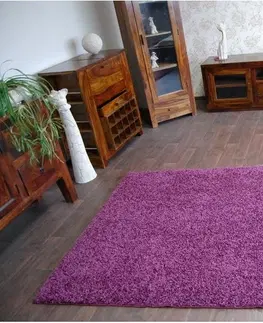 Koberce a koberečky Dywany Lusczow Kusový koberec SHAGGY Izebelie 5cm fialový, velikost 100x300