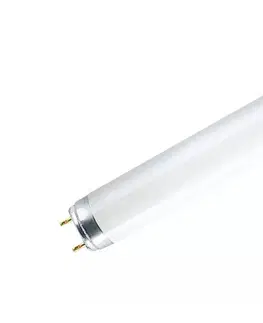 Žárovky  Zářivková trubice T8 G13/18W/230V 6500K 60 cm 