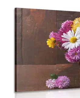 Obrazy květů Obraz zátiší s podzimními chryzantémami