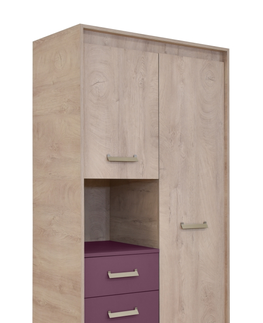 Šatní skříně Kombinovaná dvoudvéřová šatní skříň TARCISIO se třemi šuplíky, dub/fialová